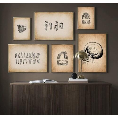Human Medical Tooth Anatomy Science Vintage Nordic Posters And Prints Canvas Painting Wall Art Pictures Medical Clinic Decor