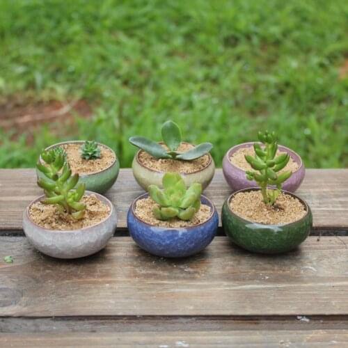 Ice-Crack Ceramic Flower Pots For Juicy Plants Small Bonsai Pot Home and Garden Decor Mini Succulent Plant Pots