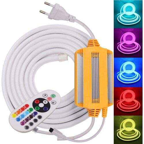 RGB Neon Light with Remote Control 220V 5050 Waterproof Neon Ribbon Tape 2835 120Leds/M White/Warm White Flexible Neon Strip