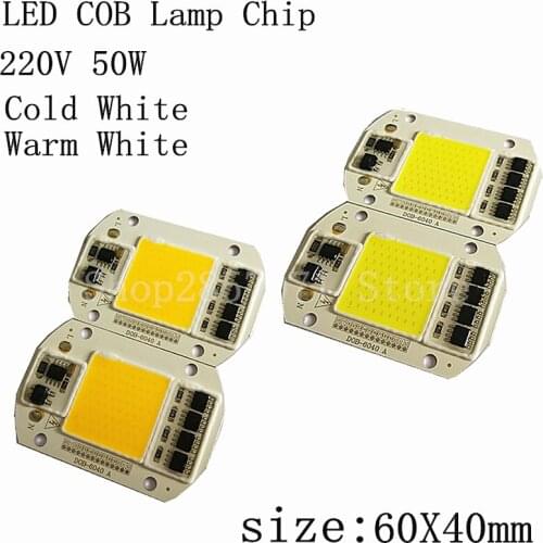 LED COB Lamp Chip 50W 220V Input Smart IC Driver Fit For DIY LED Floodlight Spotlight Cold White/Warm White