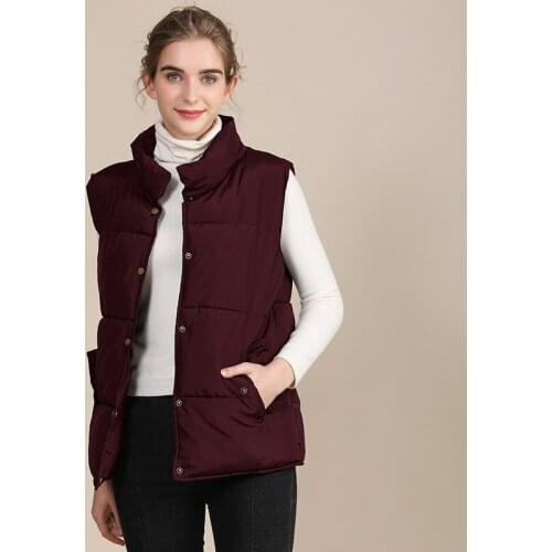 New Winter Casual Large Loose Cotton Vests Stand Collar Sleeveless Jacket for Women Solid Single Breasted Warm Coats