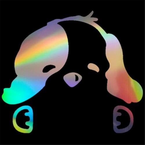 Punctual Car Exterior Accessories