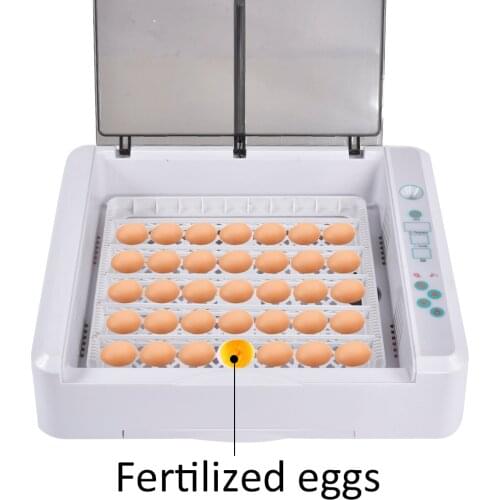 Automatic Breeding Hatcher For Egg Incubator Digital Automatic Household Incubator For 36 Eggs Digital Duck Bird Egg Home hen