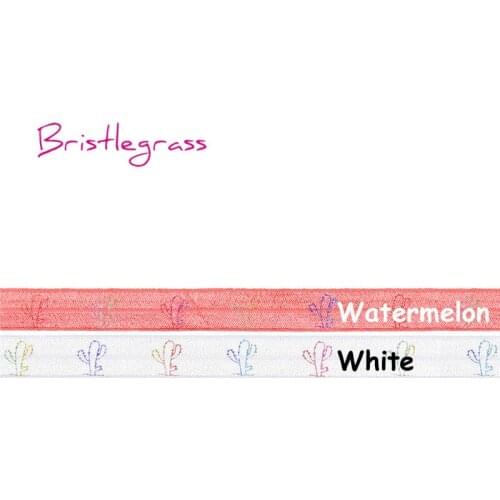 BRISTLEGRASS 100 Yard by Roll 5/8" 15mm Rainbow Cactus Print Shiny Fold Over Elastics FOE Spandex Band Headband Dress DIY Sewing