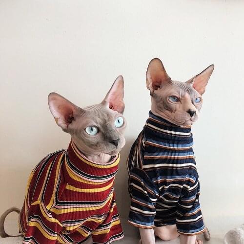 XS to XL Cat Clothes for Sphinx Clothes Hairless Cat Clothes Striped Clothing Warm Knitted Sweater Cat Pet Clothes Accessories