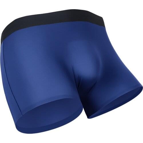 Seamless Boxers Mens Sexy Underwear Transparent Panties Man One-Piece Breathable Pouch Male Underpants Plus Size Boxershorts