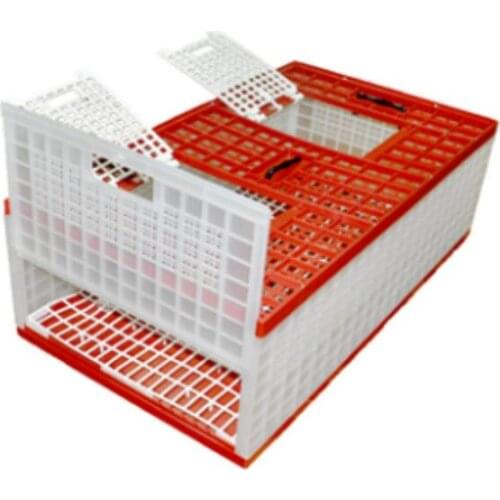 Cheaper price Foldable plastic transportation pigeon cage 60/80cm size