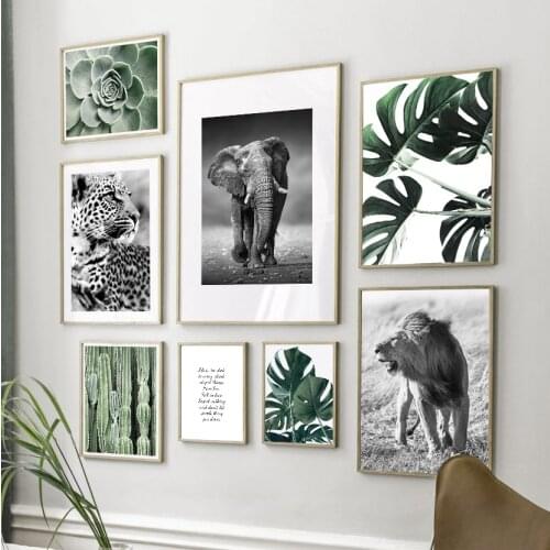 Wild Lion Elephant Leopard Succulent Plants Wall Art Canvas Painting Nordic Posters And Prints Wall Pictures For Living Room