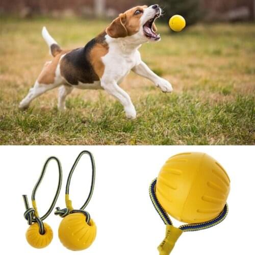 2021 New Pet Dog Training Toy Ball Dog Rubber Ball Chew Bite Resistant Toy With Rope