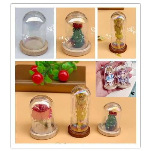 10pcs Mini Rainbow Tube Glass Dome Display Wood Cork Bell Jar Cover Cloche Display With Wooden Base Table Decor Craft Accessory