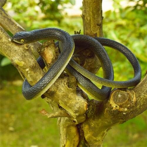 31 Inch Realistic Snake Fake Rubber Toy Black Green Fake Snakes That Look Real Prank Stuff Snake Prank Jokes Funny Trick Toys