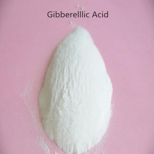 20 gram gibberellic acid ga3/Gibberellin /GA3/Gibberellic acid Plant Growth Regulator with low price
