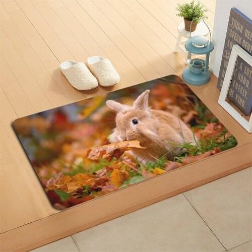 New Arrival Rabbit Animal Doormat Home Mat Machine Made Anti Slip Carpet Living Room/Hallway Bath Mat Christmas Gift 01-11