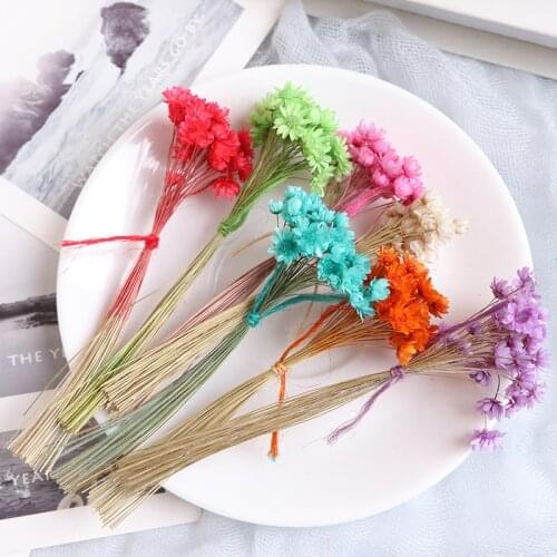 1:12 Doll House Miniature Flowers Fairy Garden Ornament Mini Potted Plant Flowers Pot DollHouse Decor Bonsai Model Kids Play Toy