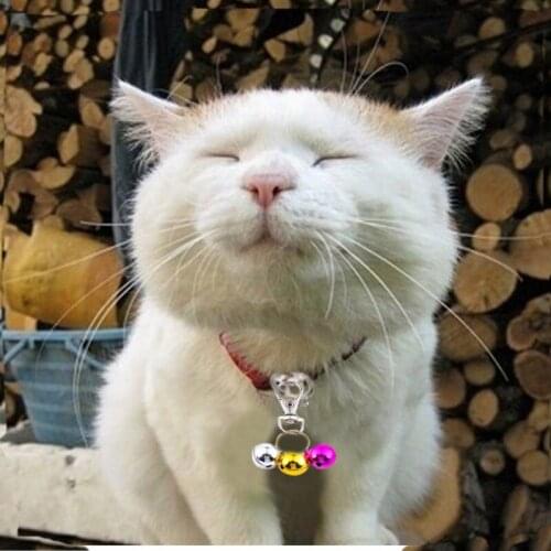 Personalized Dog Cat Tags Cat Dog Puppy Pet ID Name Collar Tag Pendant Pet Accessories Copper Bell Jewelry Pendant