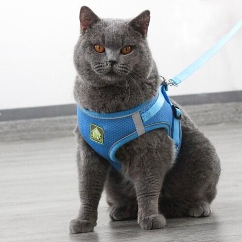 A Cat Collar Mesh Cats Harness Leash Belt Collier Chat Harnais Chat kitten Collar Pet Products Adjustable Leash