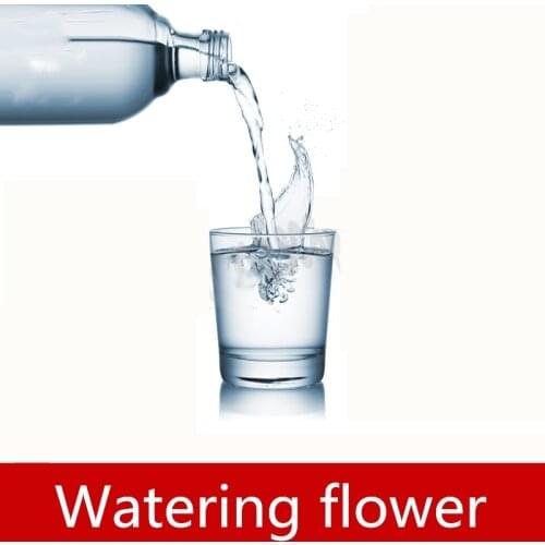 Real life games escape room props watering flower prop watering prop pouring water to unlock escape room game