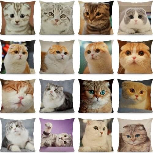 XUNYU Scottish Fold Cat Pattern Cushion Cover 45x45cm Animal Print Home Decorative Pillow Case DWM023
