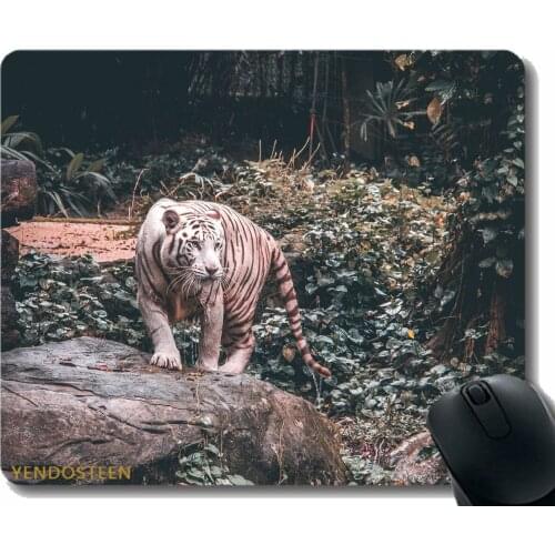 Custom Original Mouse Pad,Tiger Predator Big Cat Walk 120140 Non-Slip Rubber Base Mousepad