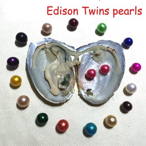 2019 DIY Jewelry Twins AAA 9-12mm colored Near Round Edison Pearl Oysters with Vacuum-packed Natural Cultured Pearl FP026