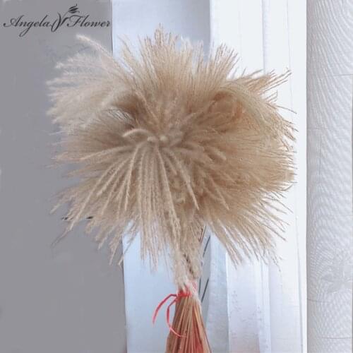 100 pcs Large Pampas Grass Natural Dried Flowers Room Home Decoration Accessories Plants Reed Grass Wedding Bouquet Photo Props