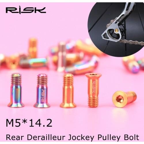 RISK 2PCS M5*14.2mm Titanium Ti Alloy Bolts for Bicycle Rear Derailleur Jockey Wheel MTB Bike Guide Roller Screws M5x14.2mm