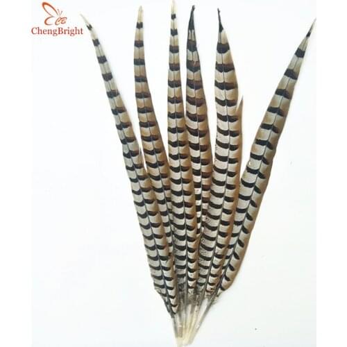 ChengBright 10Pcs 30-160 CM Natural Long Rare Reevess Pheasant Feathers DIY Party Wedding Decorations Halloween Pheasant plumes