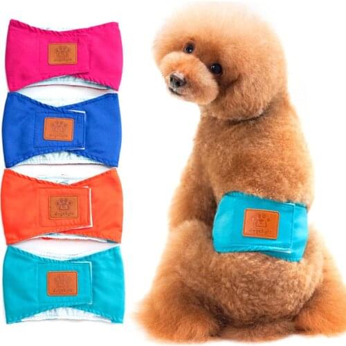 Pawstrip Women's Travel Shorts