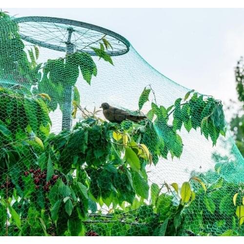 Garden Planting Anti Birds Insects Bugs Squirrels Netting Net Pigeons Chicken Protection Mesh Curtain Shade Shield 4 Sizes