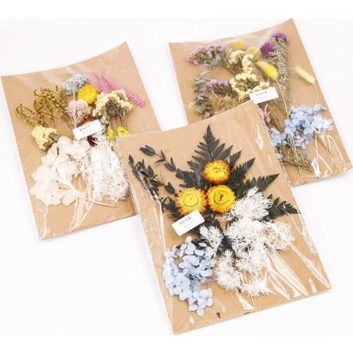 25x19cm/Pack Real Preserved Dried FLower Bouquet Matrials DIY Handmade Photograph Home Desktop Office Garden Wedding Decoration
