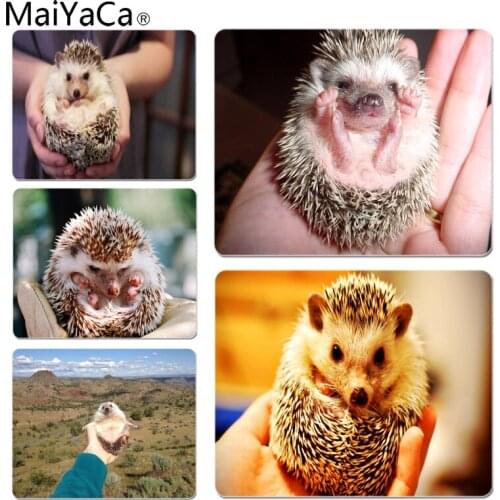 MaiYaCa Hedgehog Cute in Teacup Animal Beautiful Anime Mouse Mat Size for 25X29cm Gaming Mousepads
