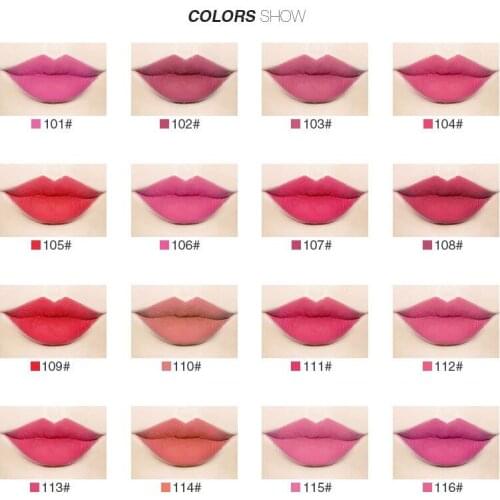 MENOW Brand Matte Lip gloss Moisturizing Long Lasting Waterproof Kissproof Lip gloss Professional Lip-Make up Cosmetics LG01