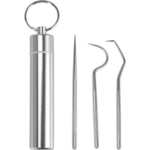 667E 3 Pieces/Set Portable Metal Toothpicks Pocket Keychain Reusable Stainless Steel Holder for Daily Use Hiking Traveling