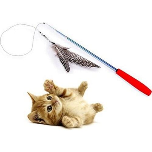 Toys For Cats Gomaomi China