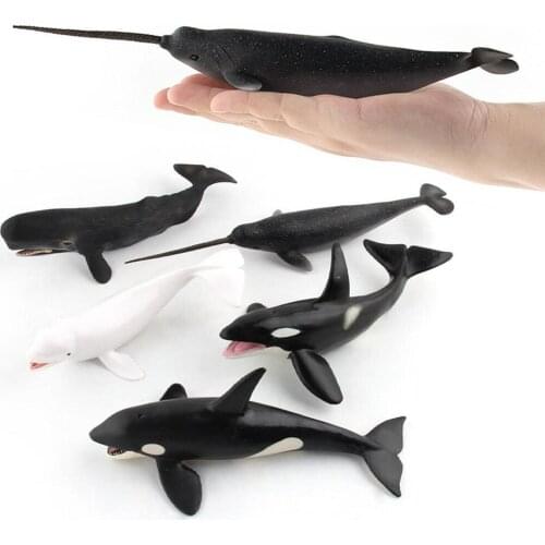 Simulated Marine Animals Model Girl Boy Toys White Humpback Whale Bluewhalel Car Ornaments Kids Toy Learning Cognitive Education