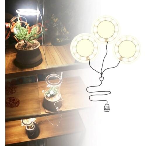 RTD LED Plant Lamps