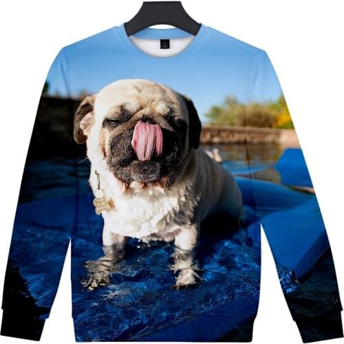 Warm Persoonlijkheid Franse Bulldog Hoodies Sweatshirt Hond liefhebbers 3D Sweatshirt 2020 Leuke Nieuwe Stijl Hond Newes College