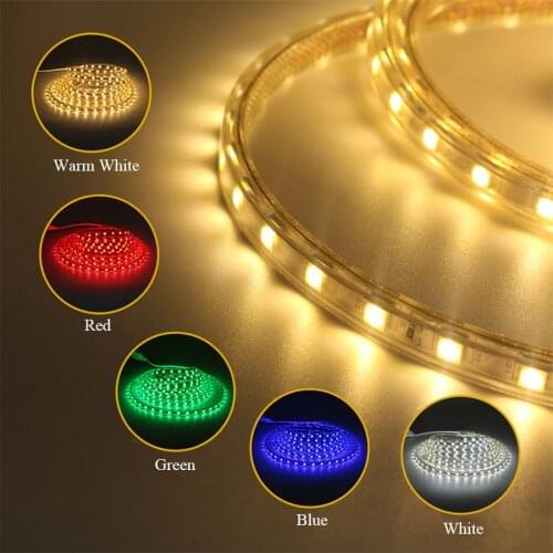 5050 Flexible LED Strip light AC220V 60leds/m Waterproof IP67 Led Tape LED Light With EU Power Plug 1M/2M/3M/8M/9M/10M/20M