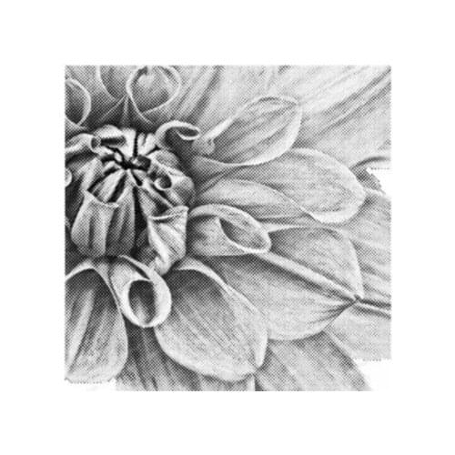 Flower background Transparent Clear Silicone Stamp Seal for DIY scrapbooking photo album Decorative clear stamps A603