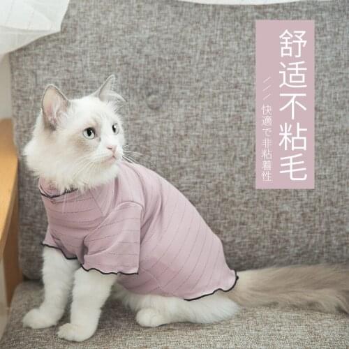 Kittens Clothes Thin Cloth Doll Two Legged Clothes English Short Hairless Kitten Cat Pet Garfield Blue Cat