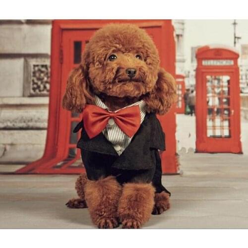 New fashion dogs cats bowknot wedding costume doggy party jacket clothes puppy hoodies pet dog cat outwear costume 1pcs S M L