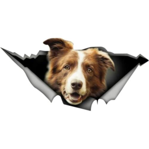 Dawasaru Brown and White Border Collie Car Sticker 3D Pet Graphic Vinyl Decal Car Window Laptop Bumper Car Sticker,13cm*6cm