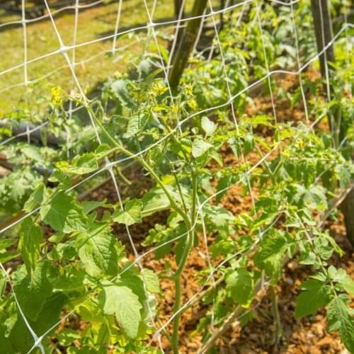 Plant Trellis Netting Polyester Net Plant Support Vine Climbing Hydroponics Garden Net Accessories Multi Use Gardening Accessory