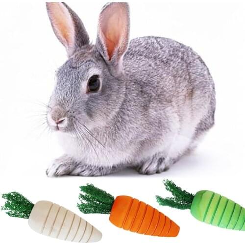 Hamster Rabbit Chew Toys Chinchilla Accessories Carrot Wooden Bird Cage Toy for Small Animal Guinea Pig Bite Toy Molar Pet Toys