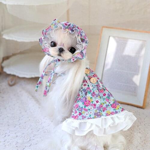 Pet Summer Clothes Cat Chihuahua Dress Doggie Puppy Skirt Hat Pomeranian Bichon Frise Poodle Schnauzer Small Dog Clothing XS
