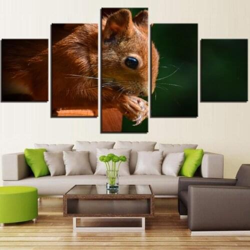 5 piezas, lienzo de ardilla, pintura artística, carteles de animales, conos de pino, imágenes para el hogar, decoración de la ha