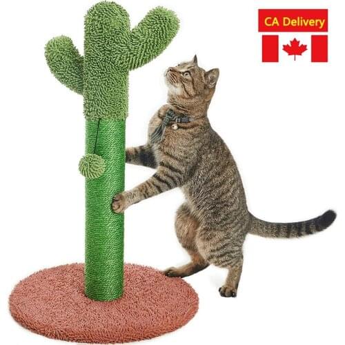 25.6" Cactus Cat Scratching Post with Dangling Ball Brown Cat Climbing Frame Pet Products
