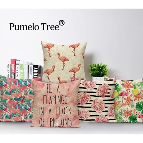 Pumelo Tree Equipment For Tourism