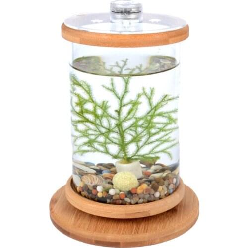 Tanks Glass Desktop Small Creative Durable Office Micro-view Rotating Fighting Empty Mini Tempered Bedroom Ecological Bottle