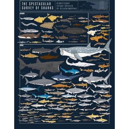 Lot style Choose The Specacular Survey Of SHARKS Animal Chart Art print Silk poster Home Wall Decor